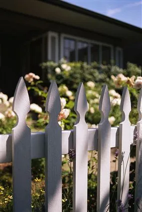 A white picket fence among roses