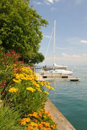 A sailboat at a dock beside summer flowers